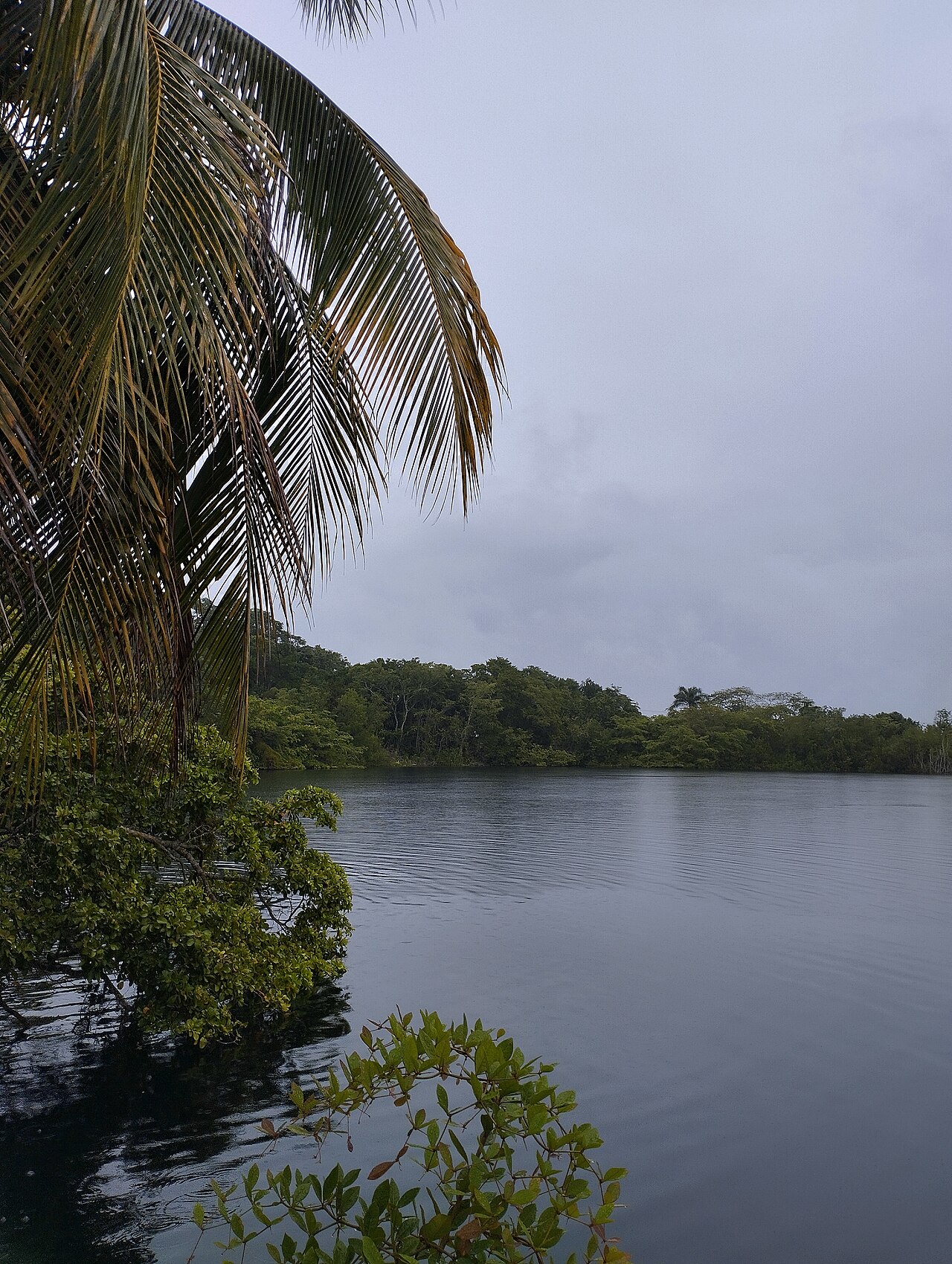 Cenote Azul photo 3