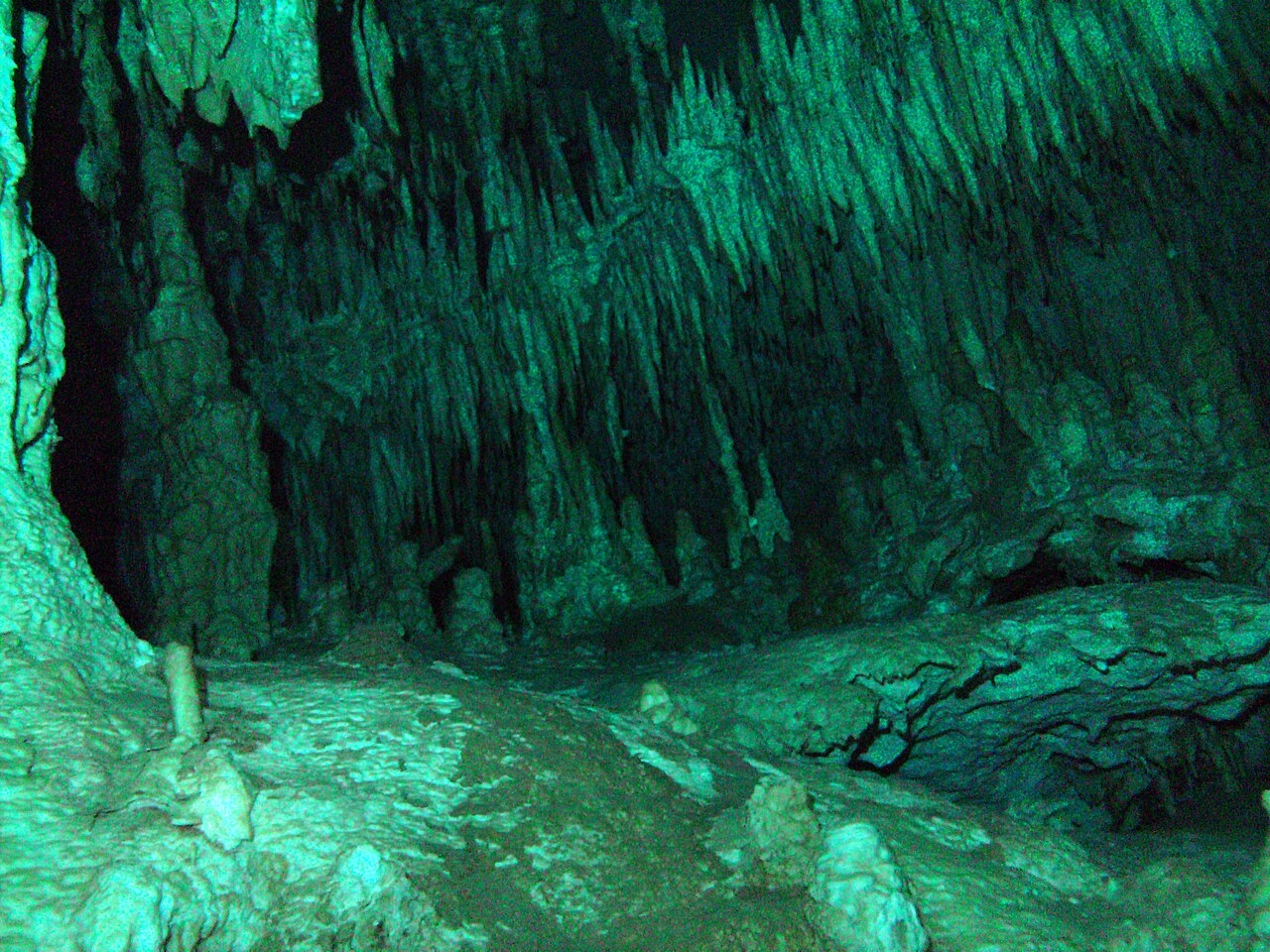 Cenote Dos Ojos photo 4