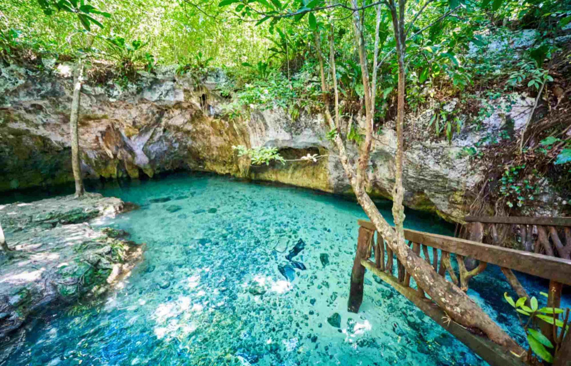 Gran Cenote photo 2