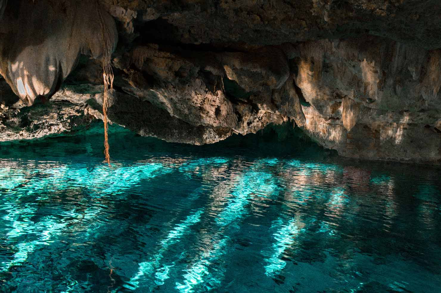 Gran Cenote photo 3