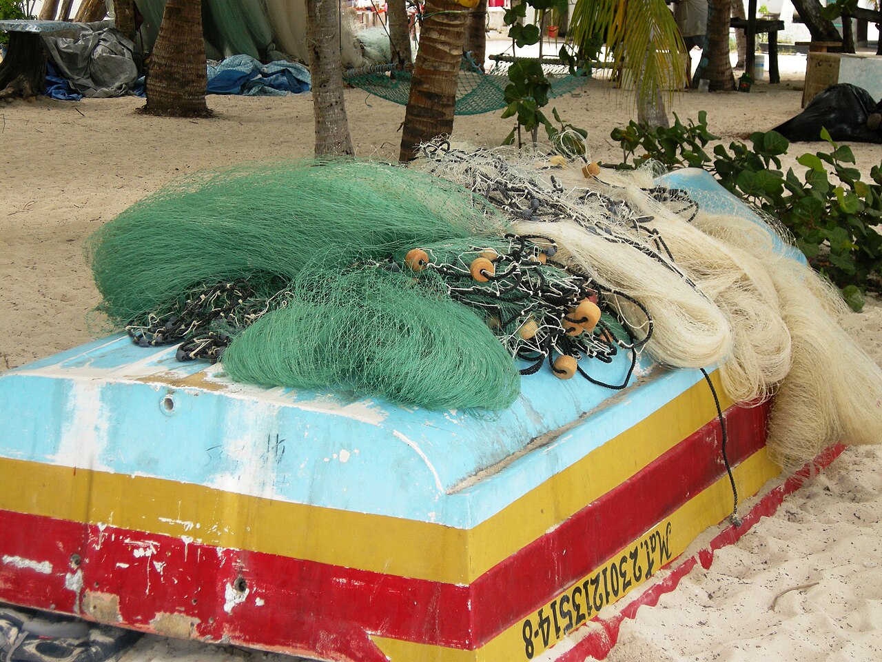 Playa Norte, Isla Mujeres photo 4