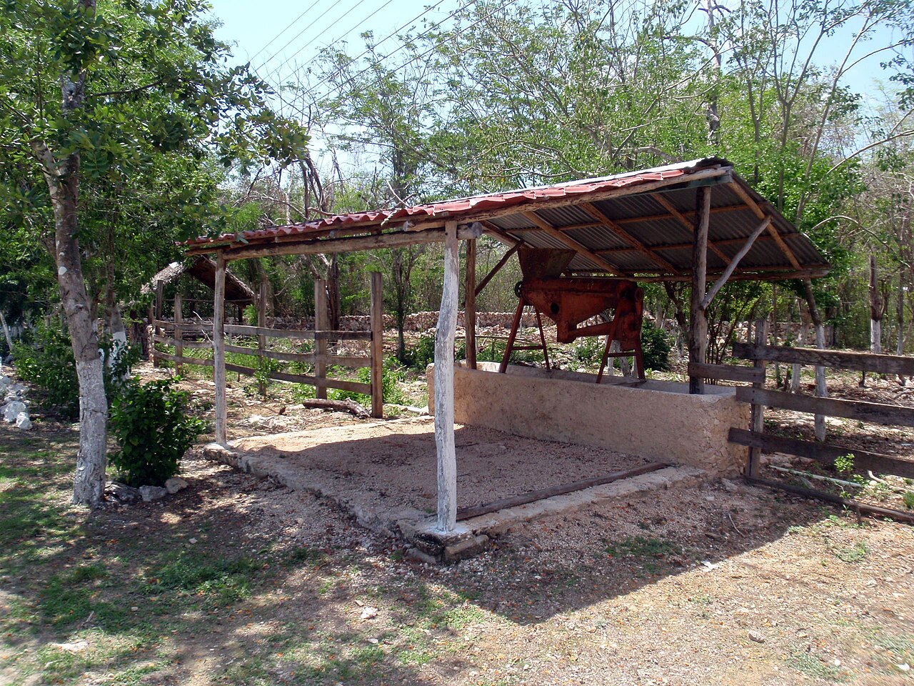Cenote Suytun photo 3